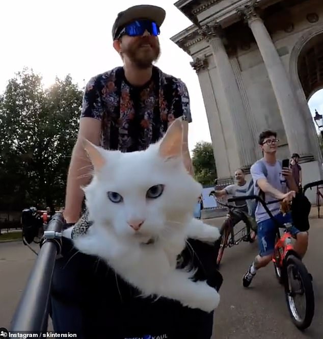 The fluffy white cat seems comfortable in her basket as she joins owner Travis on bike rides, seen going through Wellington Arch