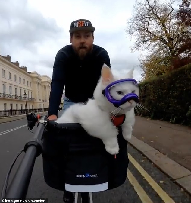 The adorable cat likes to wear goggles on some of her rides, which gains her even more attention as passers by say, 'I love your goggles!'. The pair going past Regent's Park Outer Circle