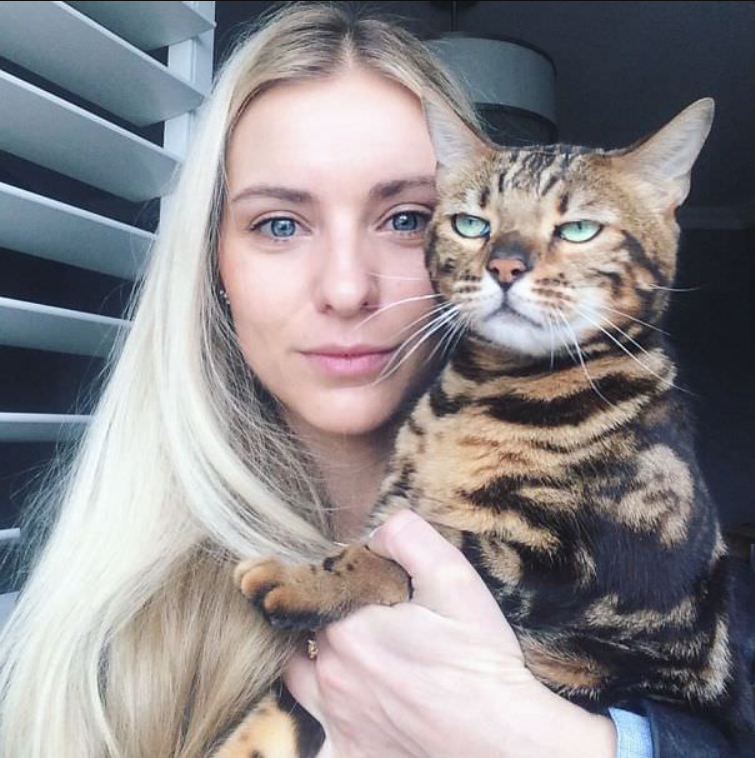 When Cats Just Did Not Want To Be In Your Stupid Selfies