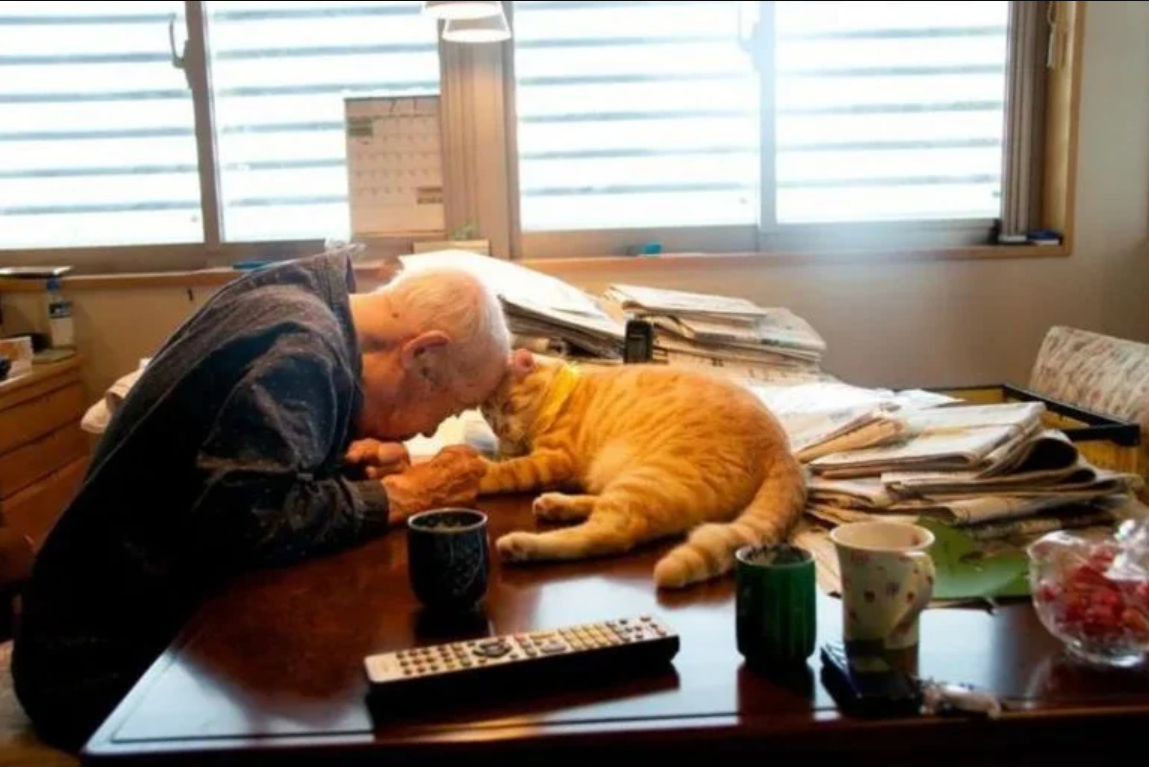 Purrfect Workplace: This Company Pays Employees to Cuddle Cats!