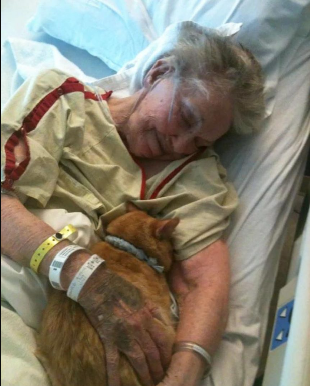 An elderly woman’s final desire is to bid her beloved cat farewell.