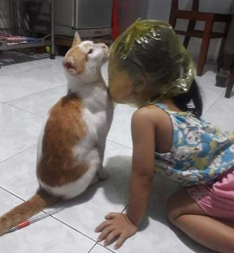 This Little Girl Loves Cats, But Her Parents Forbid Her, And This Is How She Shows Her Love For Cats.