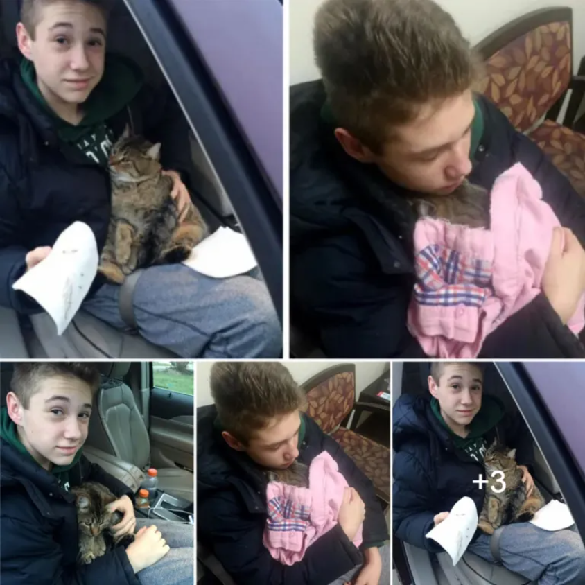 14-Year-Old Boy Runs into Traffic to Save Cat Thrown Out of Car on Busy Highway