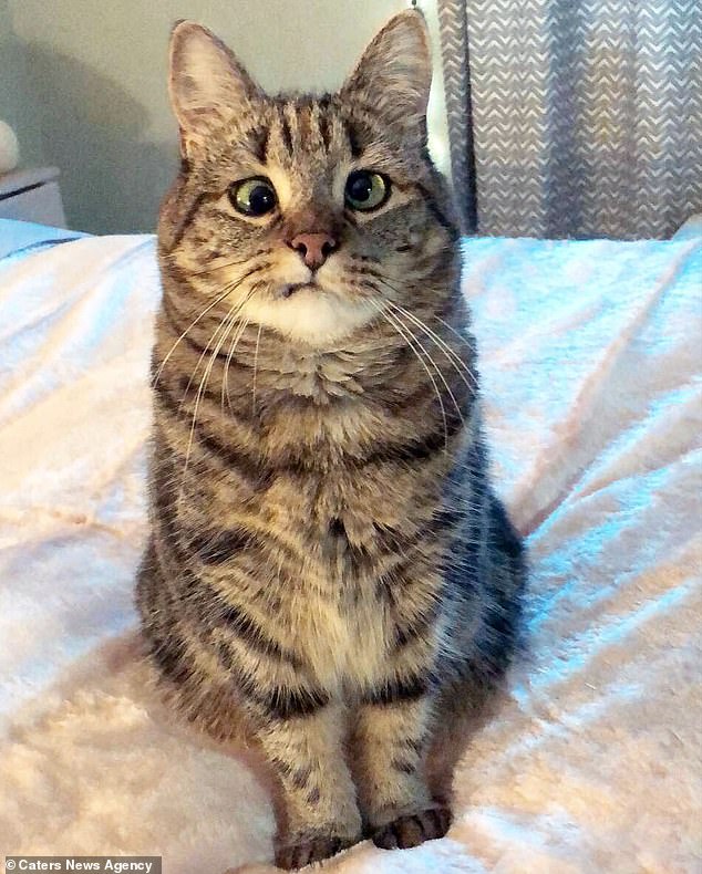 Tabby Olive's crossed eyes and lopsided smile leave her looking permanently perplexed