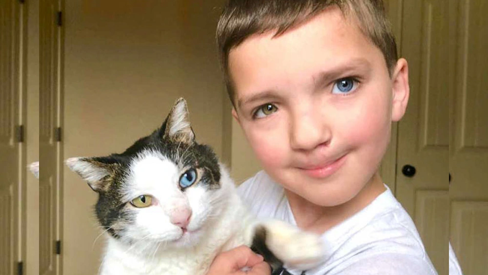 Bullied 7 Year-Old Finds Cat With Same Unusual Eye Condition And Cleft Lip, And It’s Like Destiny Exists