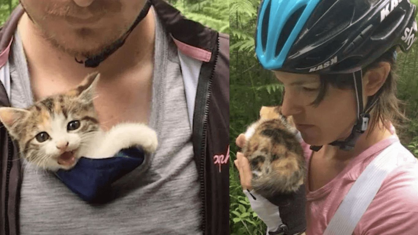 Distressed Kitten Hugs On Cyclist and Holds Tight Without Letting Go