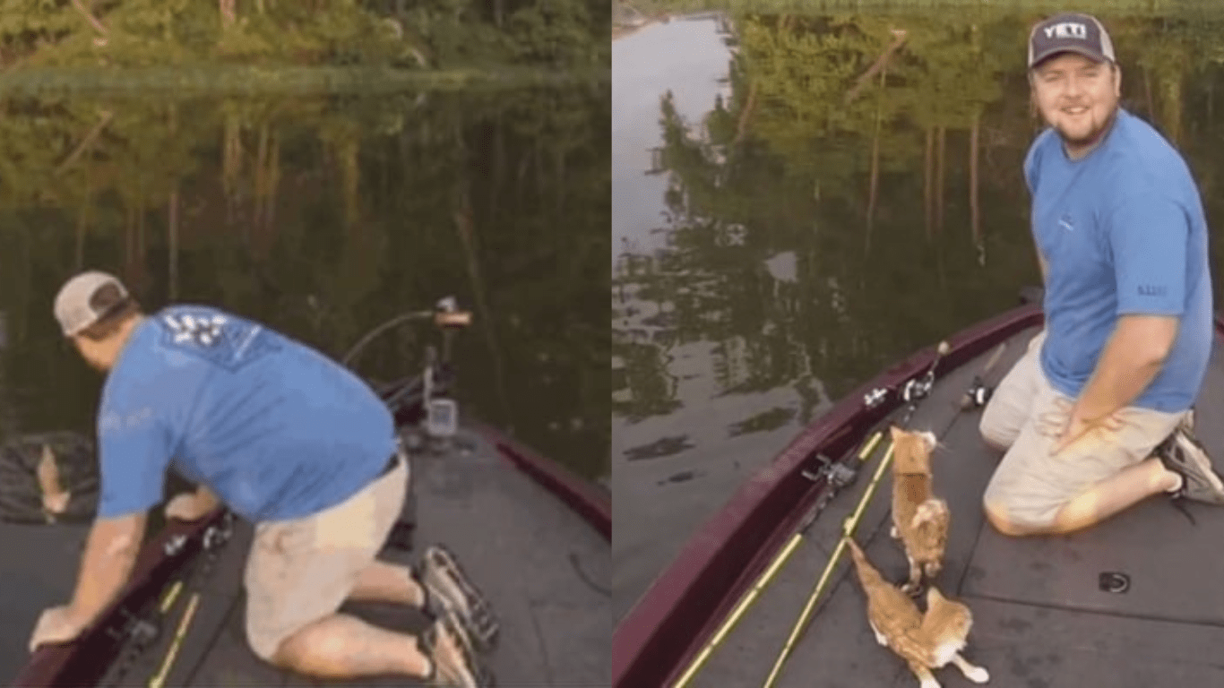 Two Fishing Buddies End Up Finding Cats Swimming In The Water