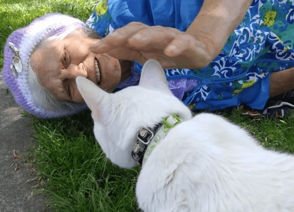 Darwin The Cat Makes An Elderly Woman Feel the Youthful Vibe Once More