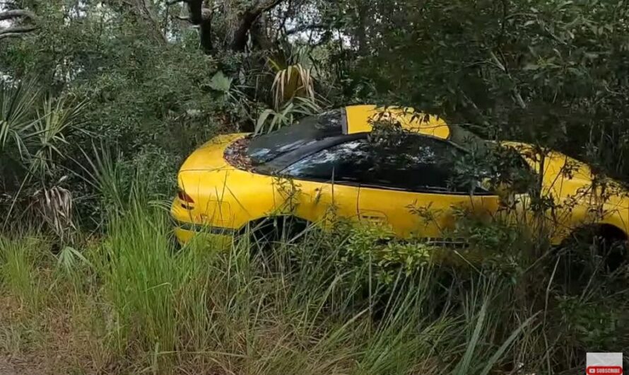 Exploring a Florida Junkyard: A Treasure Trove of Pontiac Firebirds and Ford Mustangs