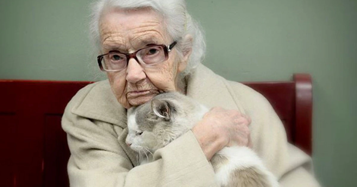 20 Year Old Cat Abandoned To Shelter Finds New House With 101 Year-Old Lady