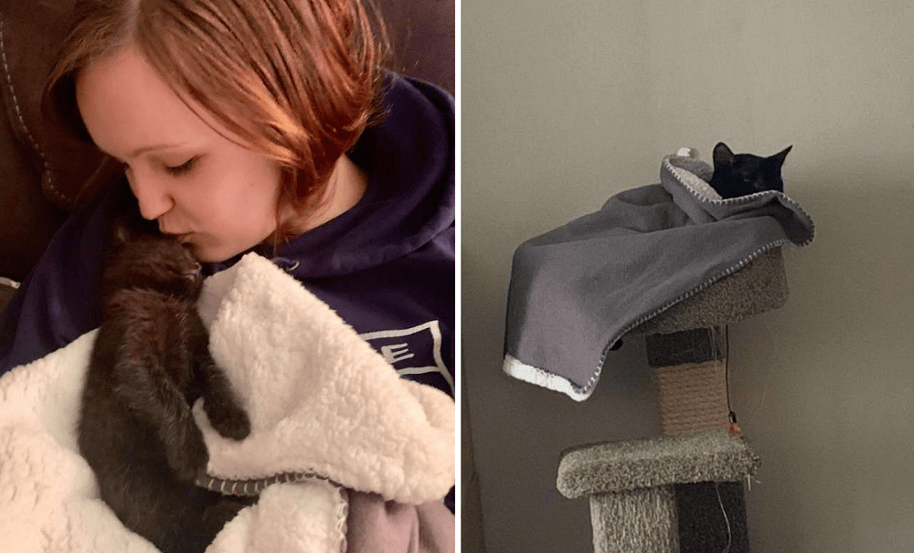 Grateful Rescue Cat Brings His “Baby” Blanket With Him Everywhere He Goes