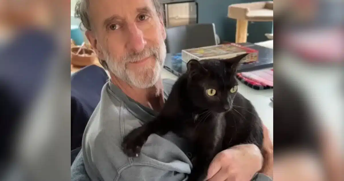 Man rescues tiny black cat from field not knowing he’d quickly return the favor