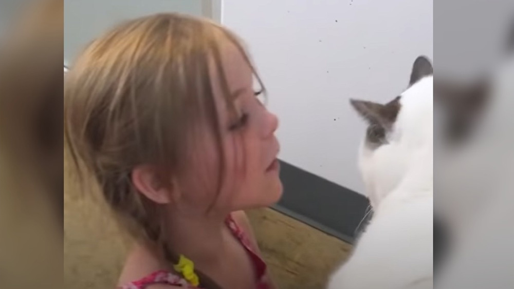 Little girl reunites with beloved cat after 3 years apart