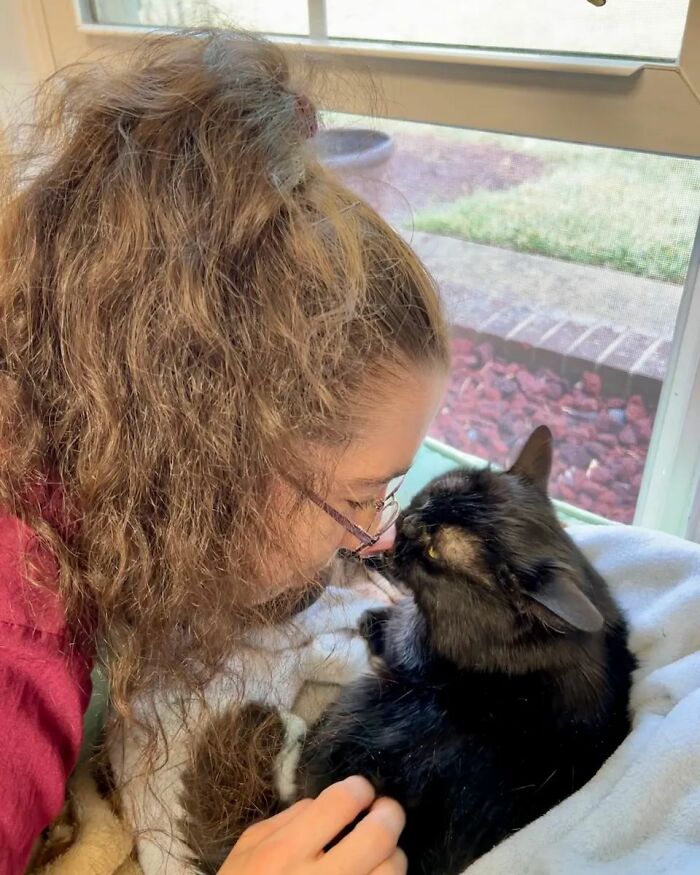 An Animal Clinic That Adopted This Black Cat, Realized He Wouldn’t Grow Much Due To Dwarfism