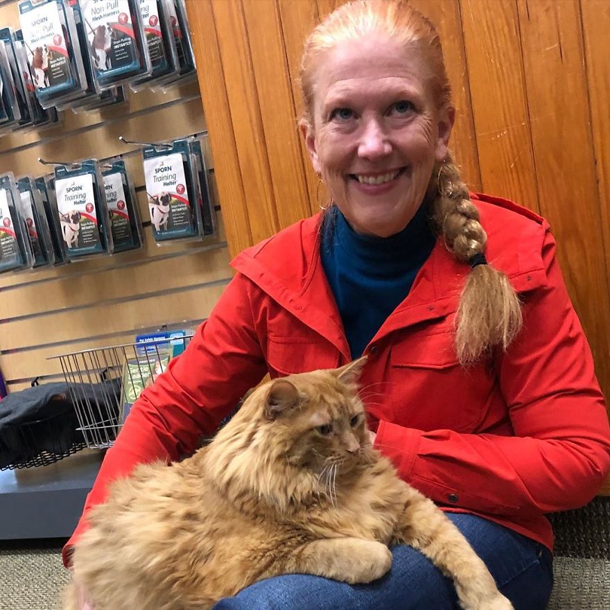 Meet Bazooka, An Overfed And Obese Cat Whose Life Changed Once He Met This Marathon Runner