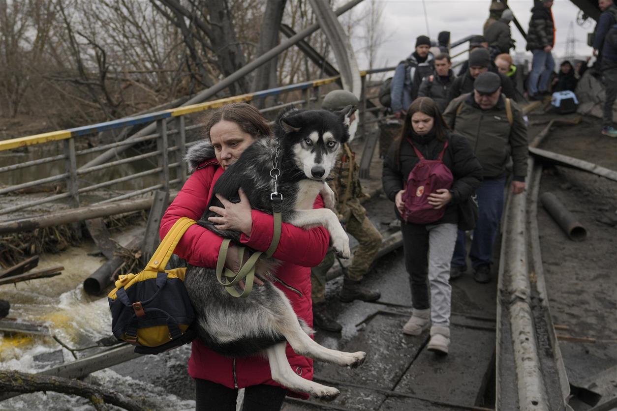 Photos Ukrainian leaving WAR can not leave pets behind