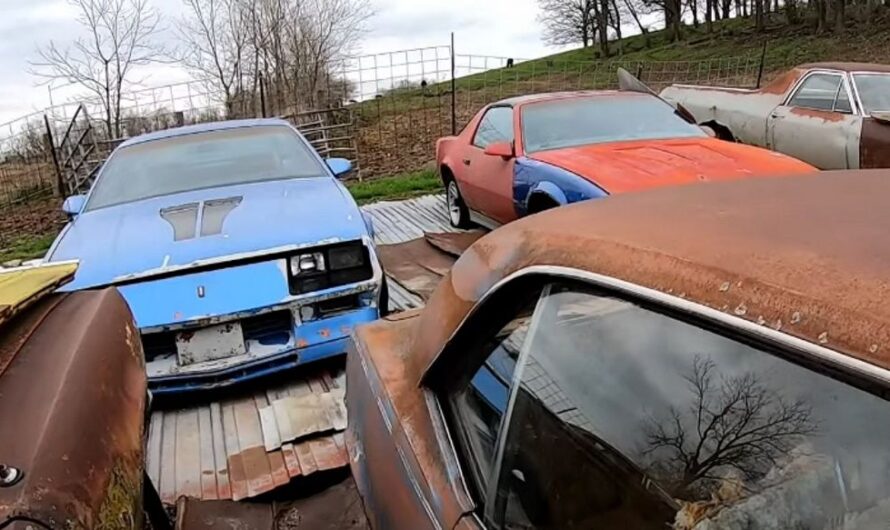 Join the Auto Archaeologist as He Ventures into a Chevrolet Camaro Graveyard