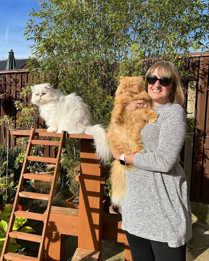 Video Of Man Hanging His Cats’ Excess Hair For Birds To Build Their Nests Went Viral