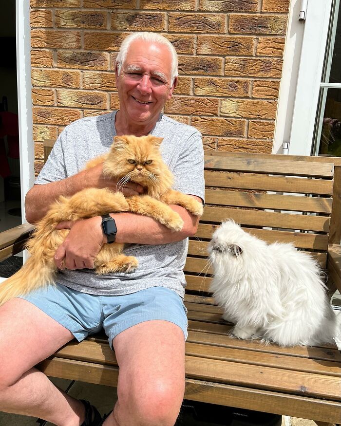 Video Of Man Hanging His Cats’ Excess Hair For Birds To Build Their Nests Went Viral