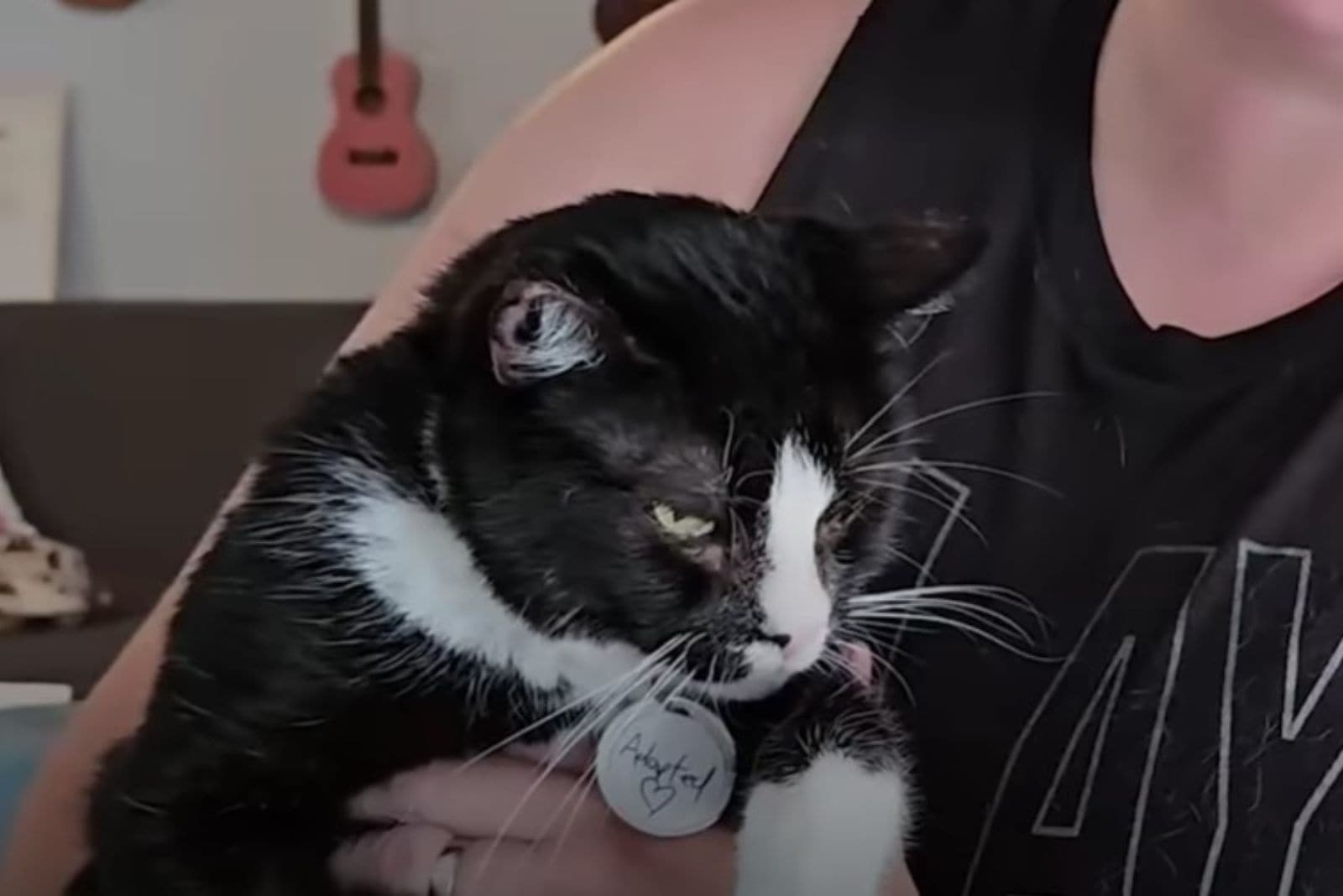 a black and white cat with its head down in the arms of a woman