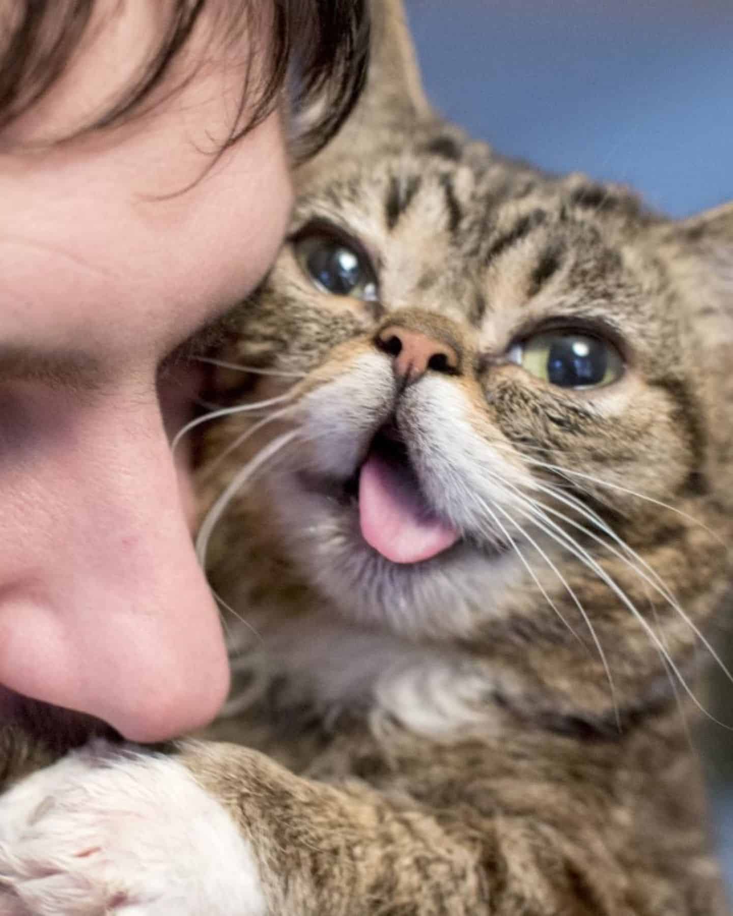 a man hugs a strange cat