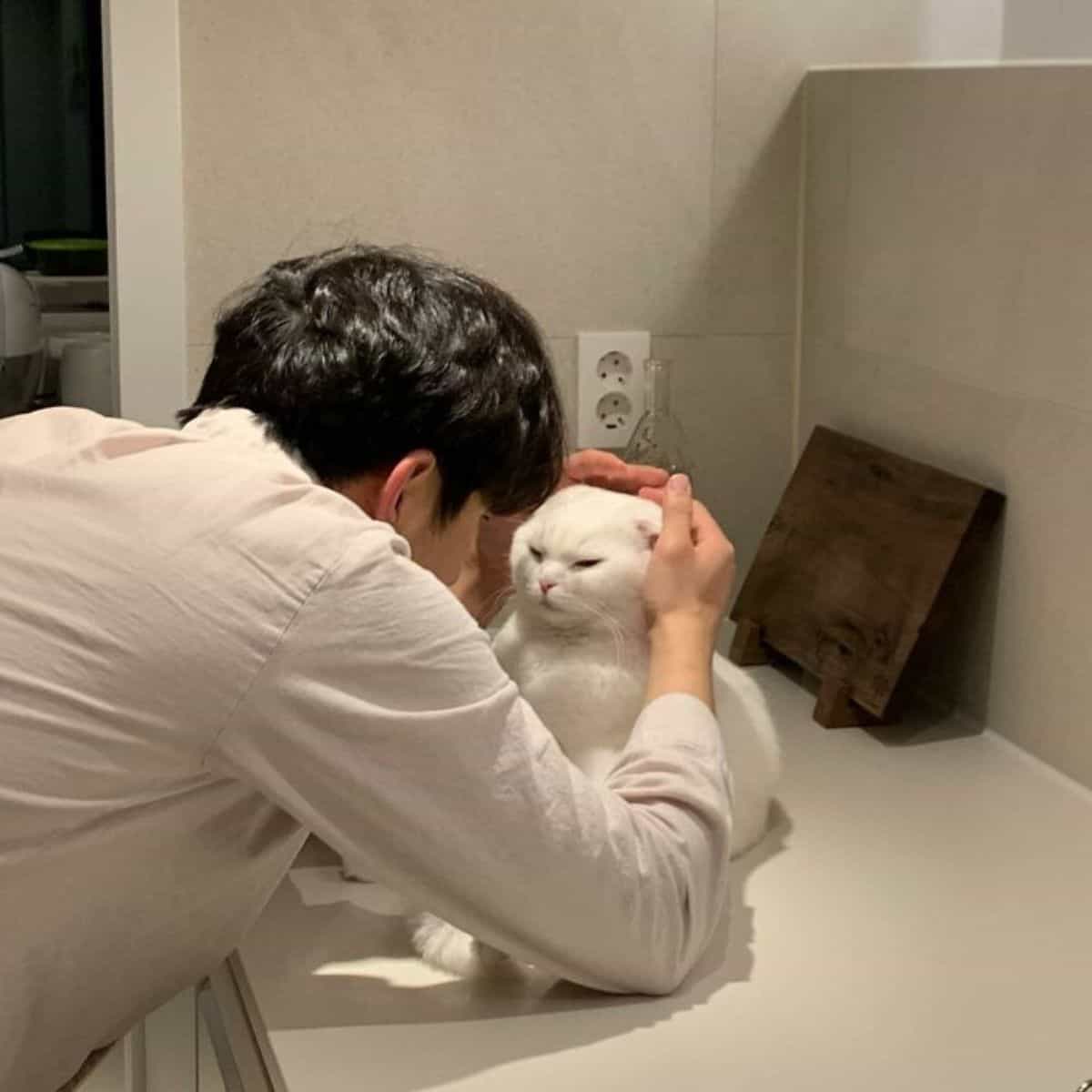 a man tries to pet a white cat