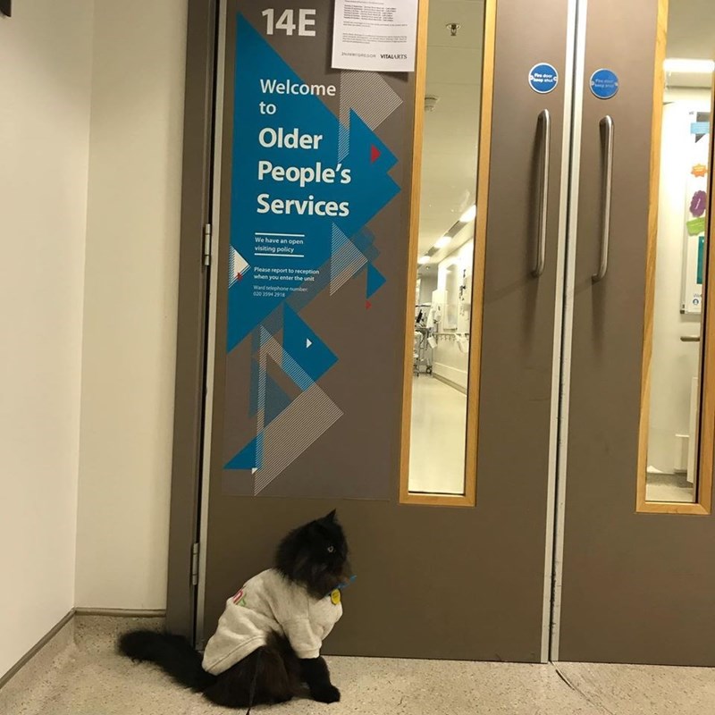 Door - 14E INAoEGOR VITALARTS Ps door Welcome to Older People's Services We have an open visiting policy Please report to reception when you enter the unit Wee Ward telephone number 020 3594 2918