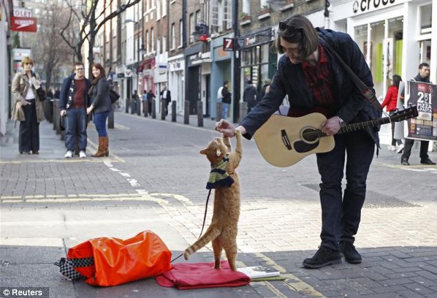 After Bob refused to leave Mr Bowen alone, he decided to take him busking and before long he was making almost three times his usual earnings as the pair attracted more and more fans