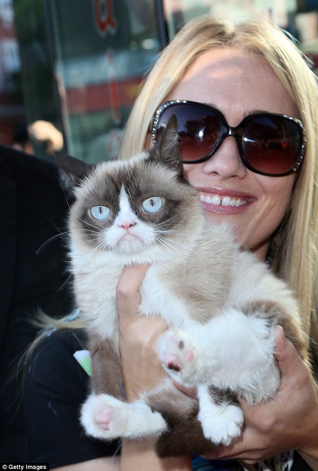 Unhappy days: Grumpy cat and owner Ms Bundesen lap up the limelight at the book launch