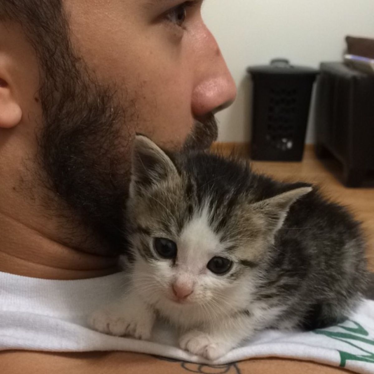 cat on man's chest