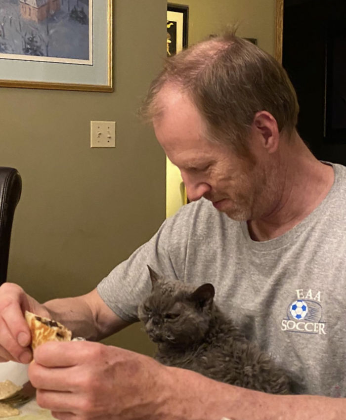 This Curly Haired 17-Year-Old Cat Looks Like He's Seen Some Stuff