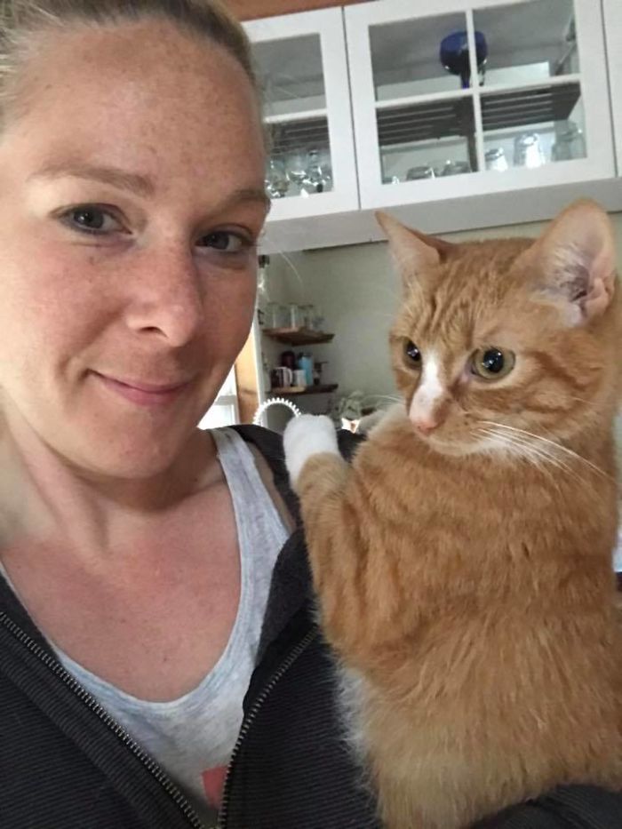 Paralyzed Kitten Couldn't Contain His Zooms After Getting A Wheelchair, Grew Up Into A Handsome Cat