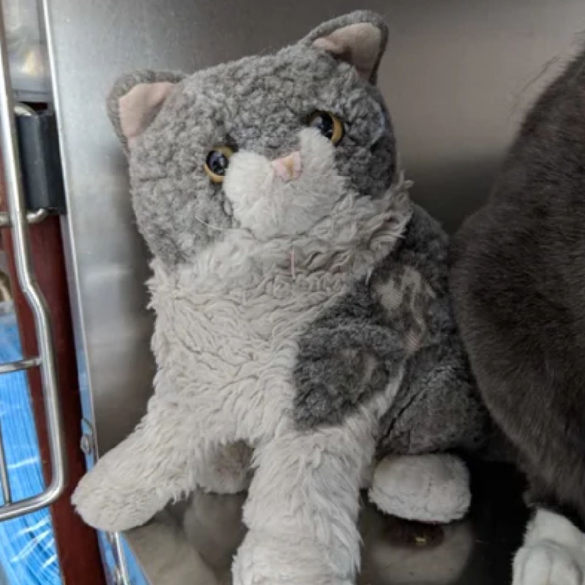 photo of stuffed animal