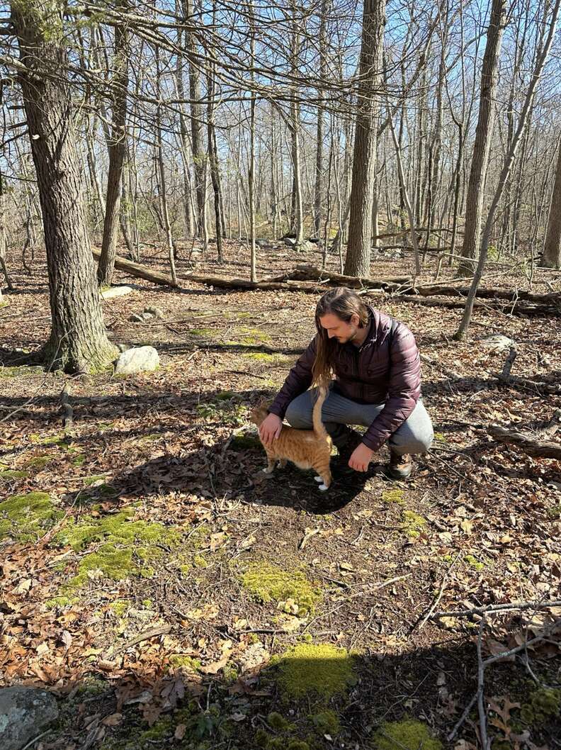 Orange cat outside getting pet by a human