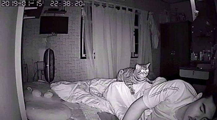 Man Sets Up Secret Camera To Record What His Cat Does At Night And It's Hilarious