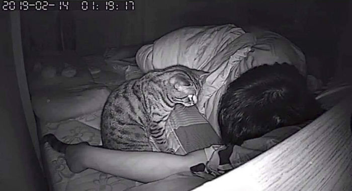 Man Sets Up Secret Camera To Record What His Cat Does At Night And It's Hilarious