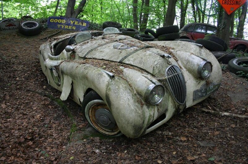 These rare classic cars are rotting in the forest, making car enthusiasts heartbroken