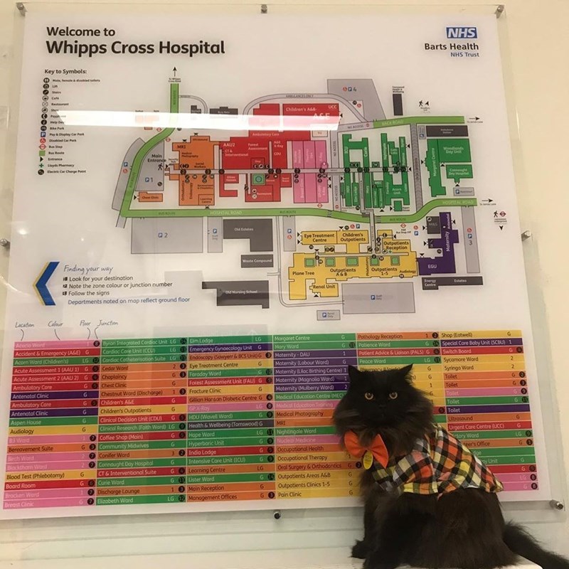 Design - Welcome to NHS Whipps Cross Hospital Barts Health NHS Trust Key to Symbols: O ain temate hint e O un Sain O04 Cefe 00Rest t UCC Children's A Pay AGE ele De SACKBOAD P Pay Diapley Ce h O Dibled Ce P An y Care Step AL4 AAUZ MRI K-Ay A mand Woodlonds Main Entrance PHelgaphe Intartnal COU Entrence Leyds hennacy tec Cer Cherge Pnt Can Diy H al 01 Hamsad MEC Leering Celtre HOSTALOD HOPTAL ROAD WUSOUE Q2 Eye Treatment Centre Children's Outpotients Outpatients Reception Waste Cempound Finding y