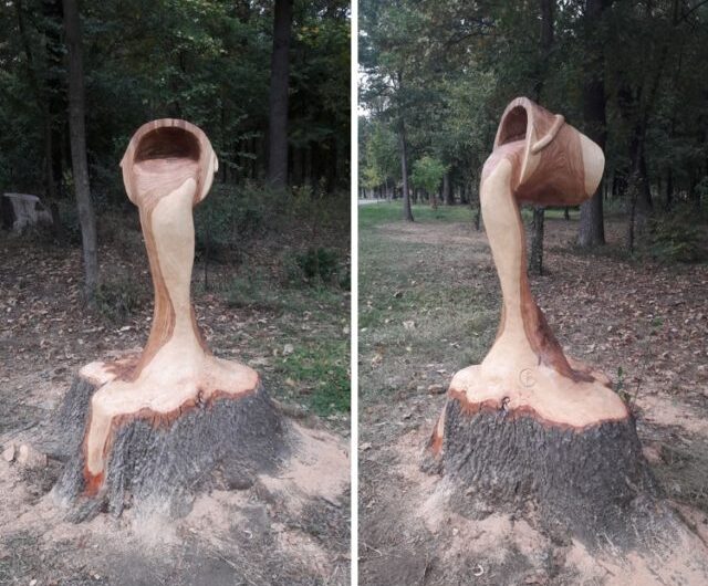 Chaınsaw Maestro Transforms Tree Stump Into Astonıshıng Illusıon Of Water Pourıng From A Bucket