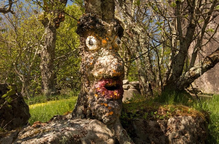 The Hauntıng Gaze of the People-Shaped Branches