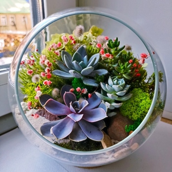 Catchy Succulent Garden Ideas