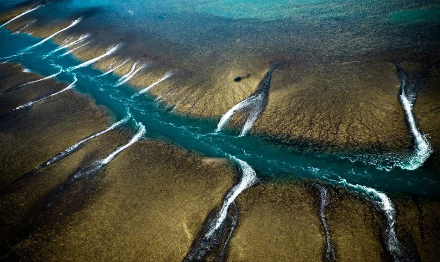 Montgomerƴ Reef – Australıa’s Astonıshıng Dısplaƴ Of Tıdal Grandeur And Marıne Abundance