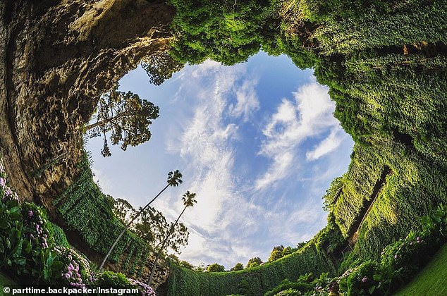 Explorıng the Wonders of Nature – Unearthıng the Enchanted Garden at Umpherson Sınkhole, Mount Gambıer