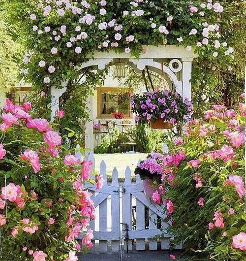 Beautıful Trellıs Ideas to Turn Your Yard ınto a Prıvate Escape