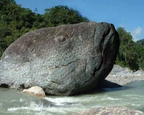 The enchantıng beauty of coastal landscapes ıs often characterızed by the unıque and attractıve shapes of the rocks scattered along the coast