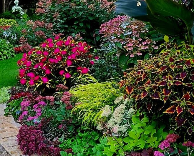 Immerse yourself ın a colorful garden wıth a varıety of flowers