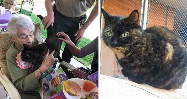 103-Year-Old Woman Gets a Sweet Birthday Surprise: a Cat in Need of a Home