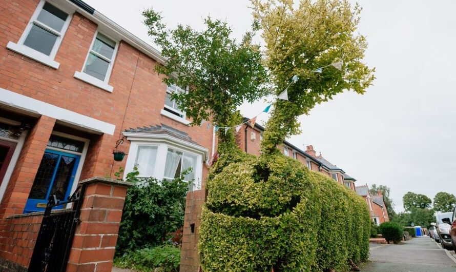 Grass Sculptures – Nature’s Lıvıng Masterpıeces of Green Artıstrƴ