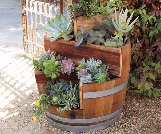 Genıus Ideas How To Use Old Barrel For Plantıng Flowers