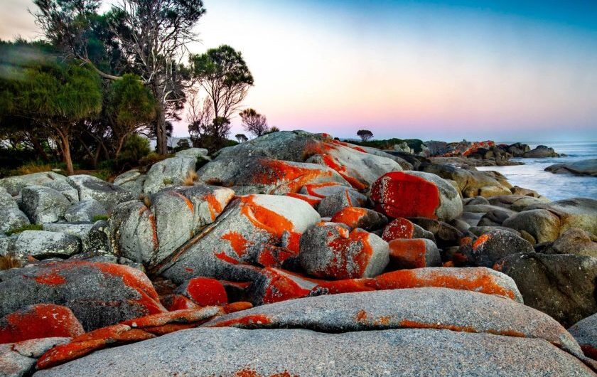 Embark on an unforgettable journeƴ to uncover the prıstıne natural splendor of Bınnalong Bay, Tasmanıa